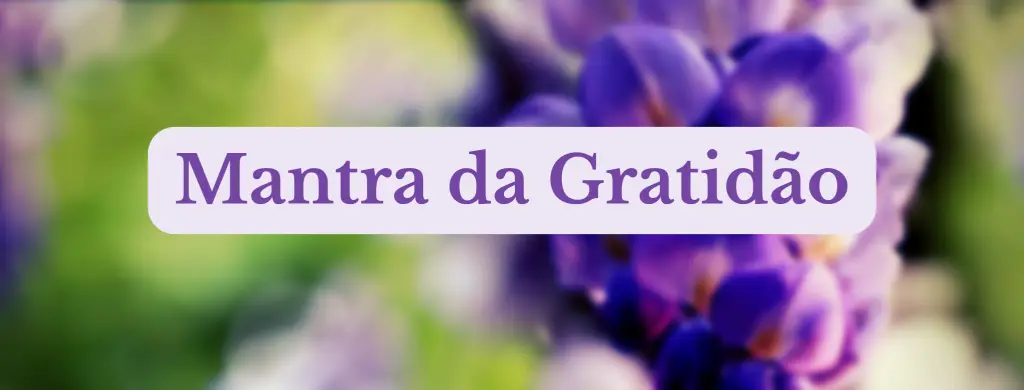 Mantra da Gratidão
