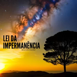 LEI DA IMPERMANÊNCIA