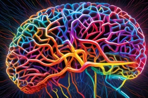 Ciência por trás da Lei da Atração