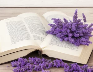 os Salmos Podem Transformar Sua Vida