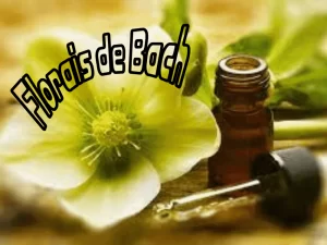 Explore o poder curativo dos Florais de Bach