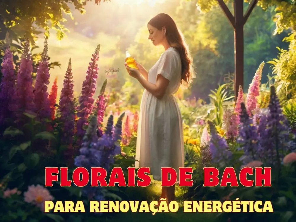 Renovação Energética