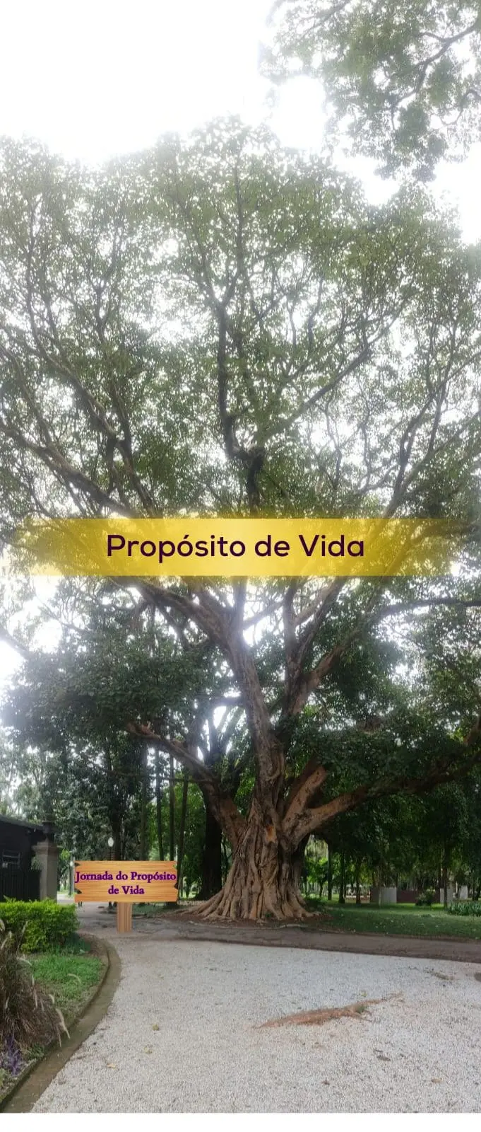 A imagem trás um caminho em meio a uma paisagem verde, com uma placa indicando 'Jornada do Propósito de Vida'. Ao fundo, o sol está surgindo, trazendo uma sensação de esperança e renovação. Esta imagem simboliza a jornada pessoal de descobrir e seguir o propósito de vida, com seus altos e baixos, mas também com oportunidades de crescimento e realização.