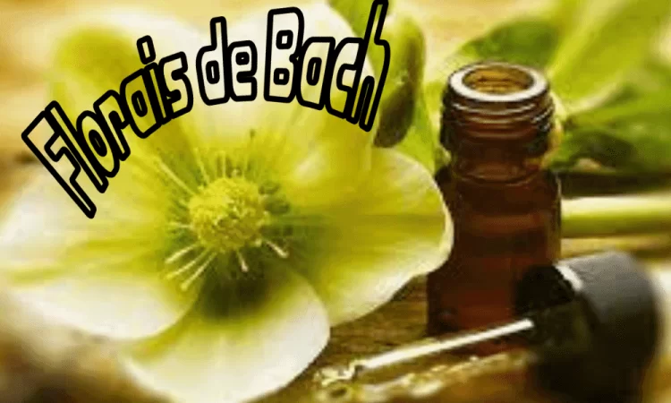 Explore o poder curativo dos Florais de Bach